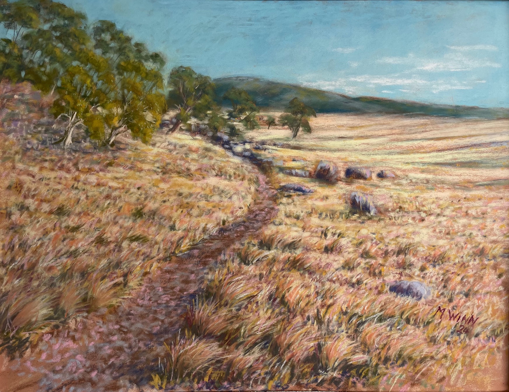 Walking in Namadgi