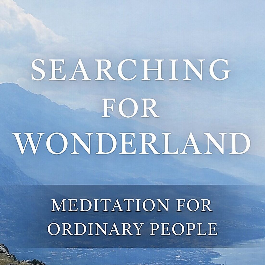 Searching For Wonderland Top - Murray Winn